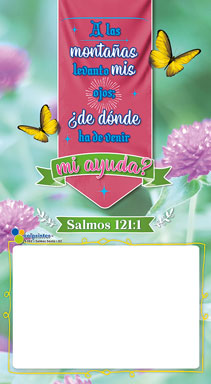 Almanaque Salmos Papel 1/6